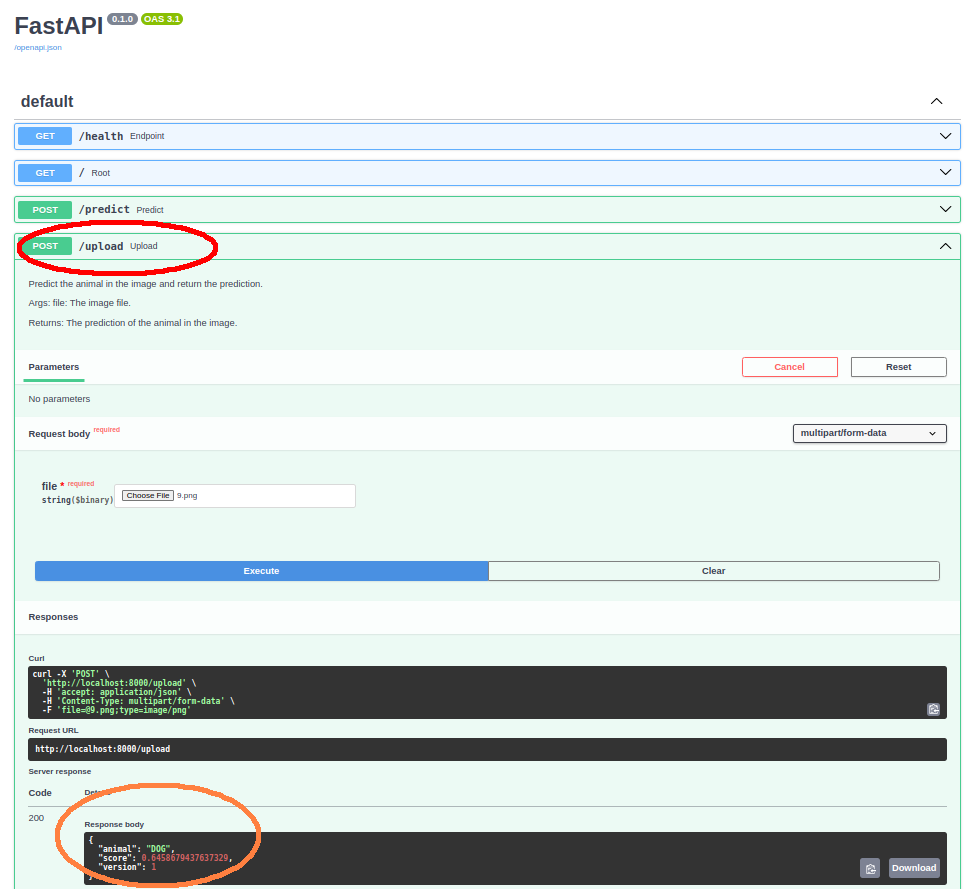 FastAPI Proxy